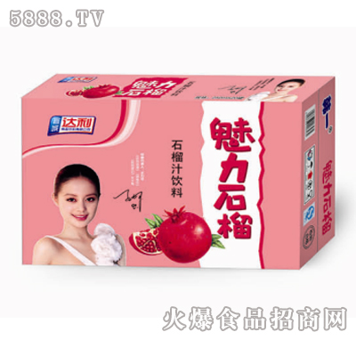韓一魅力石榴汁飲料