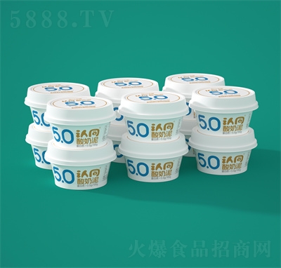 赫汀卡麥娜認同酸奶泥風味發(fā)酵乳飲品招商100g