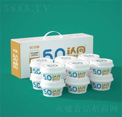 赫汀卡麥娜認同酸奶泥風味發(fā)酵乳飲品100g箱裝