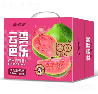 一起嘿吧云霧芭樂氣泡水480mlX8瓶招商