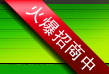 陪襯，呵呵