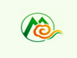 ˎƼ޹˾