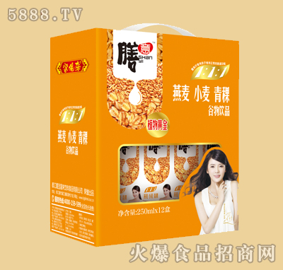 膳意植物黃金谷物飲品（燕麥 小麥 青稞）250mlX12