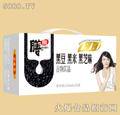 膳意谷物飲品（黑豆、黑米、黑芝麻）250mlX20