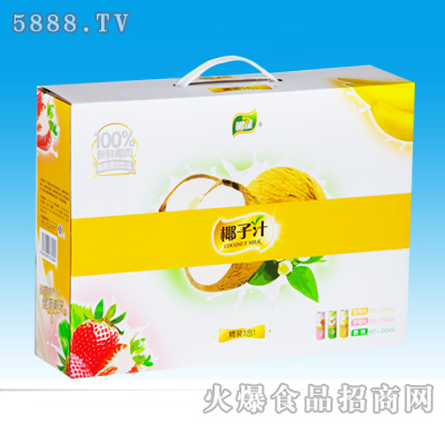 椰能椰子汁聽(tīng)裝禮盒