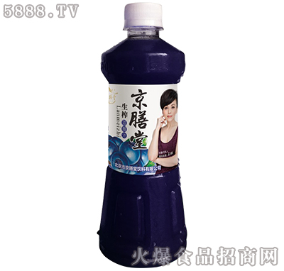 京膳堂生榨藍莓汁480ml