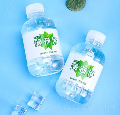 親親元氣薄荷仔薄荷味飲料260毫升