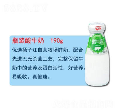 揚子江瓶裝酸牛奶酸奶招商