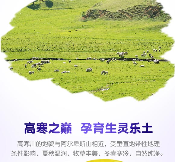 御善益生菌配方羊奶粉 御善益生菌配方羊奶粉